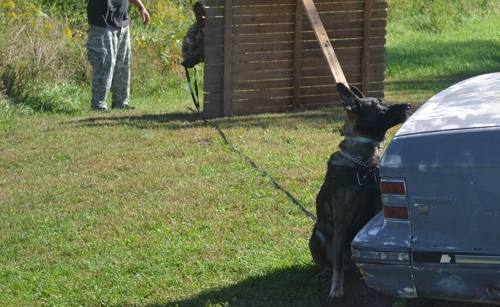 The Mecca of Working Dog Training