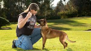 Dan Parker Dog