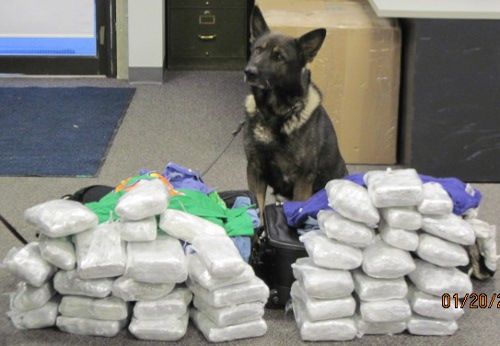 Franz picks two suitcases sm