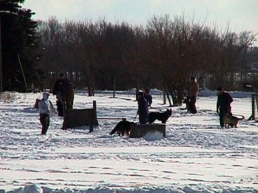 class2001 01 2