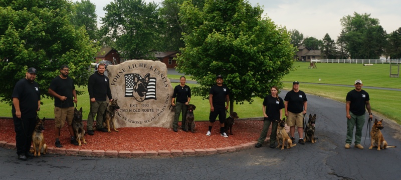 MGM Class with Dogs