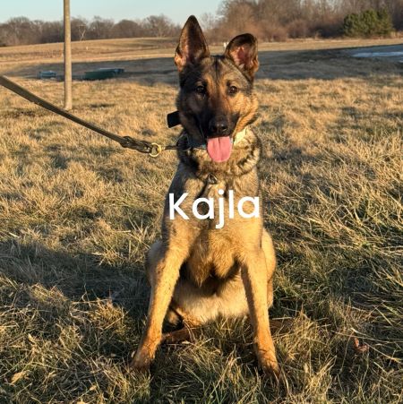 Kajla