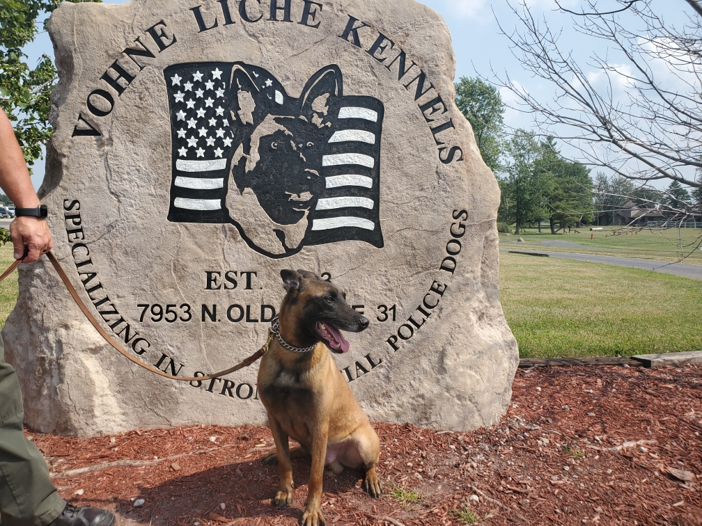 Williamson Co. SO (TN) 8 6 20