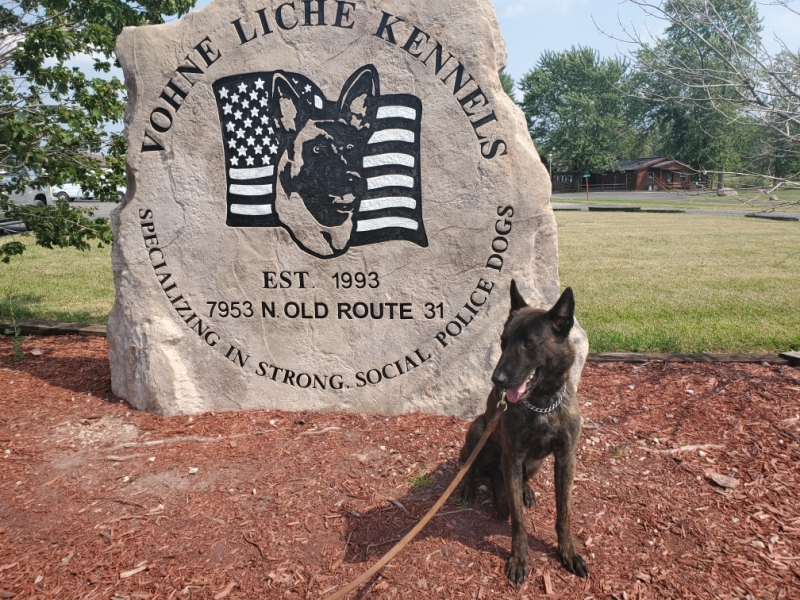 Williamson Co. SO (TN) 8 6 2020